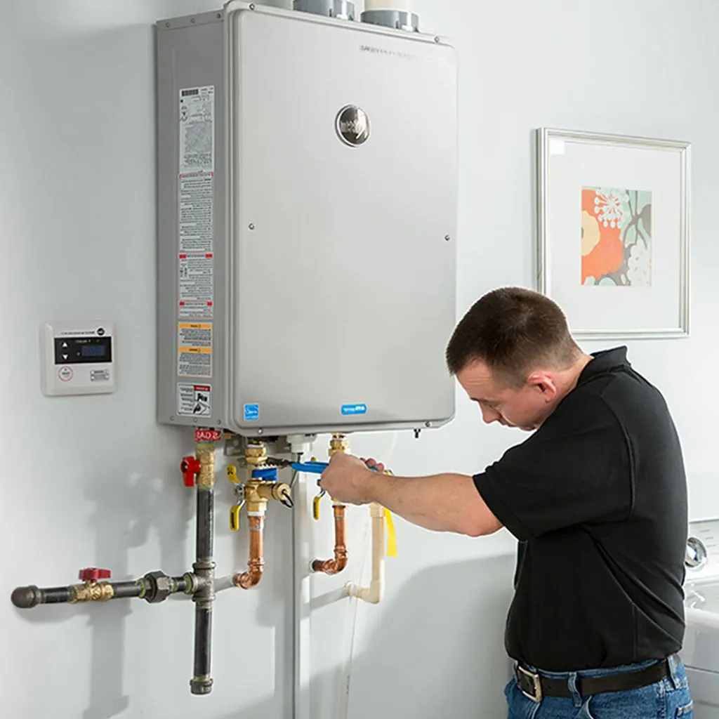 tankless water heater repair in Bardolph, IL